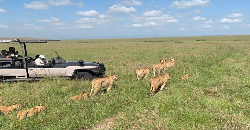 2days Masai Mara Safari